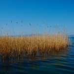 7 Ohrid Lake